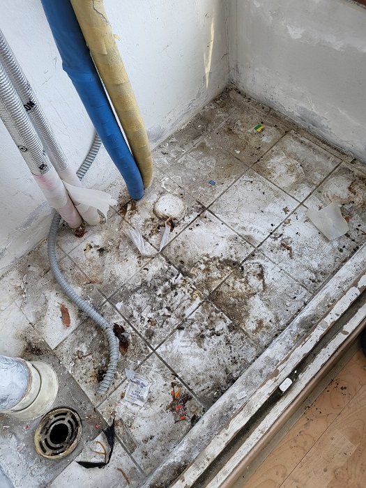 9083e58a97dfbe168b8b6017e01cb17f_1776322