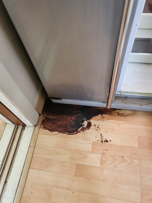 9083e58a97dfbe168b8b6017e01cb17f_1776322