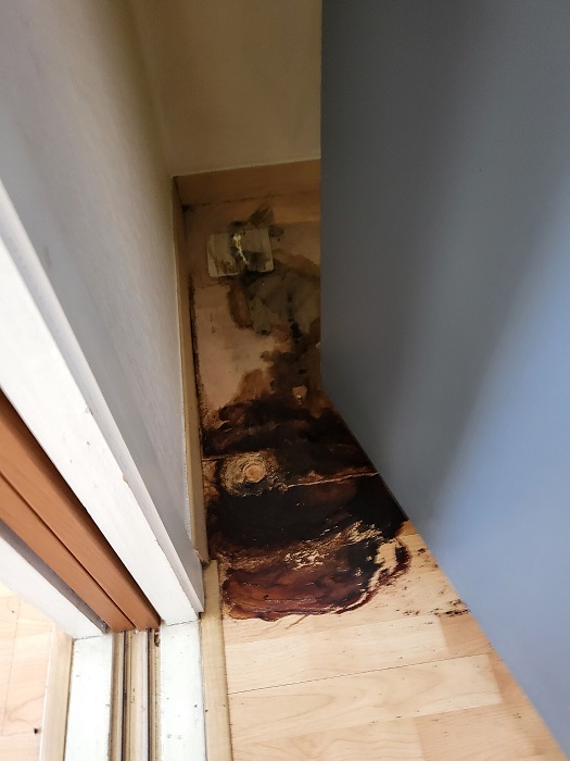 9083e58a97dfbe168b8b6017e01cb17f_1776322