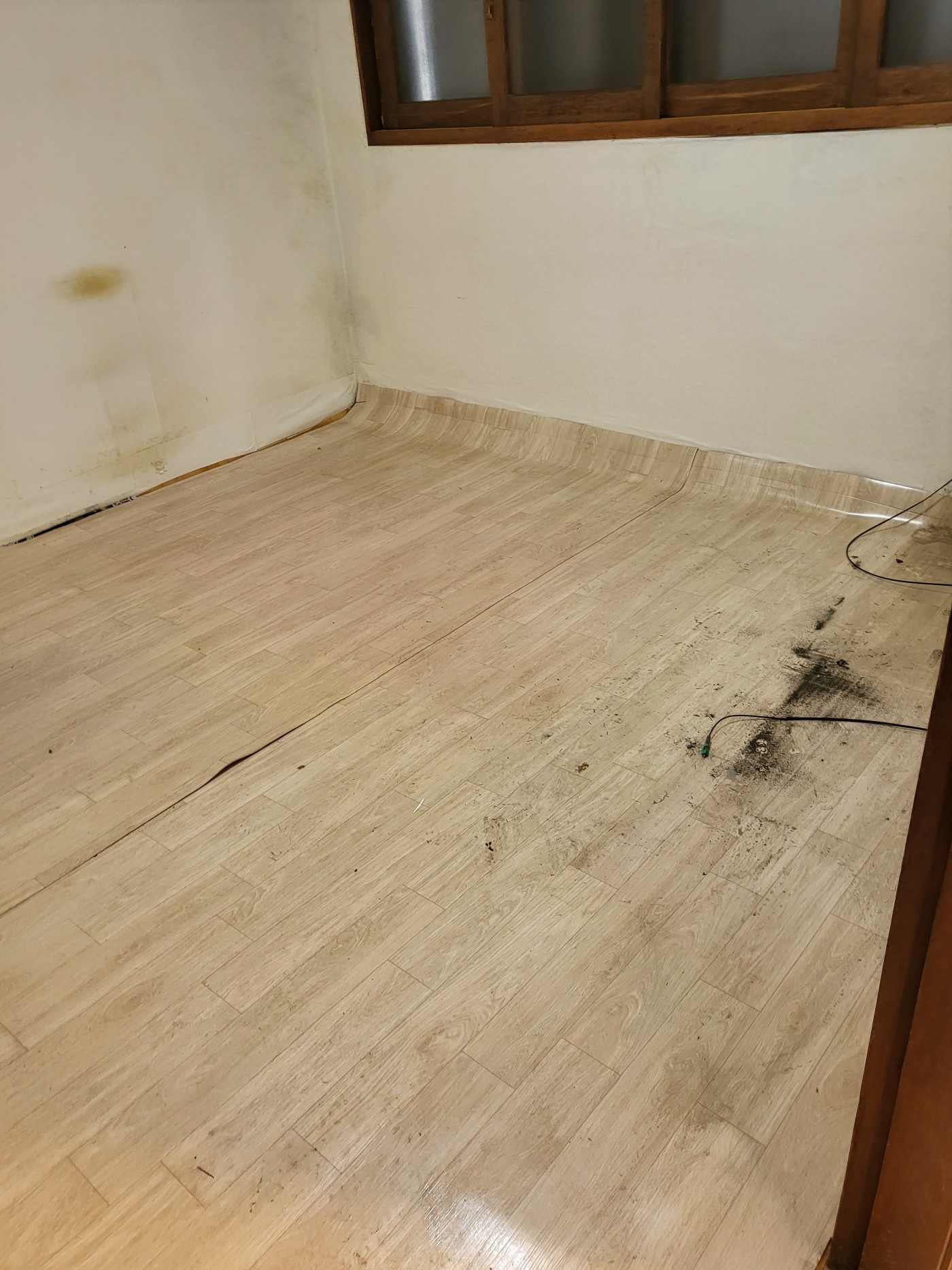 84dbcbcffdff1385d1b9ff5c4e0f67ec_1776224