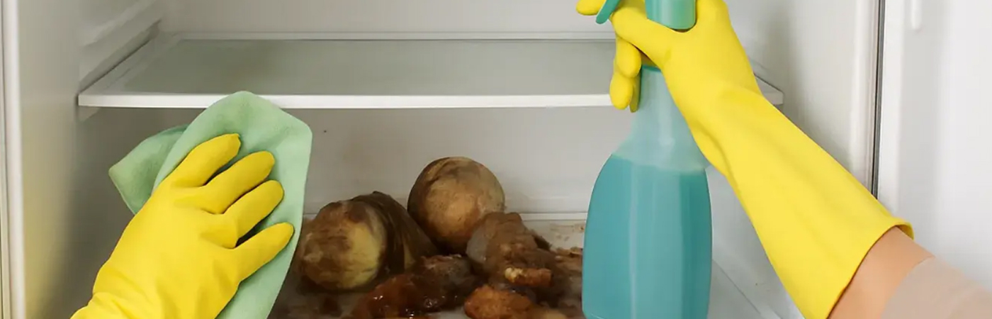 냉장고 음식물처리